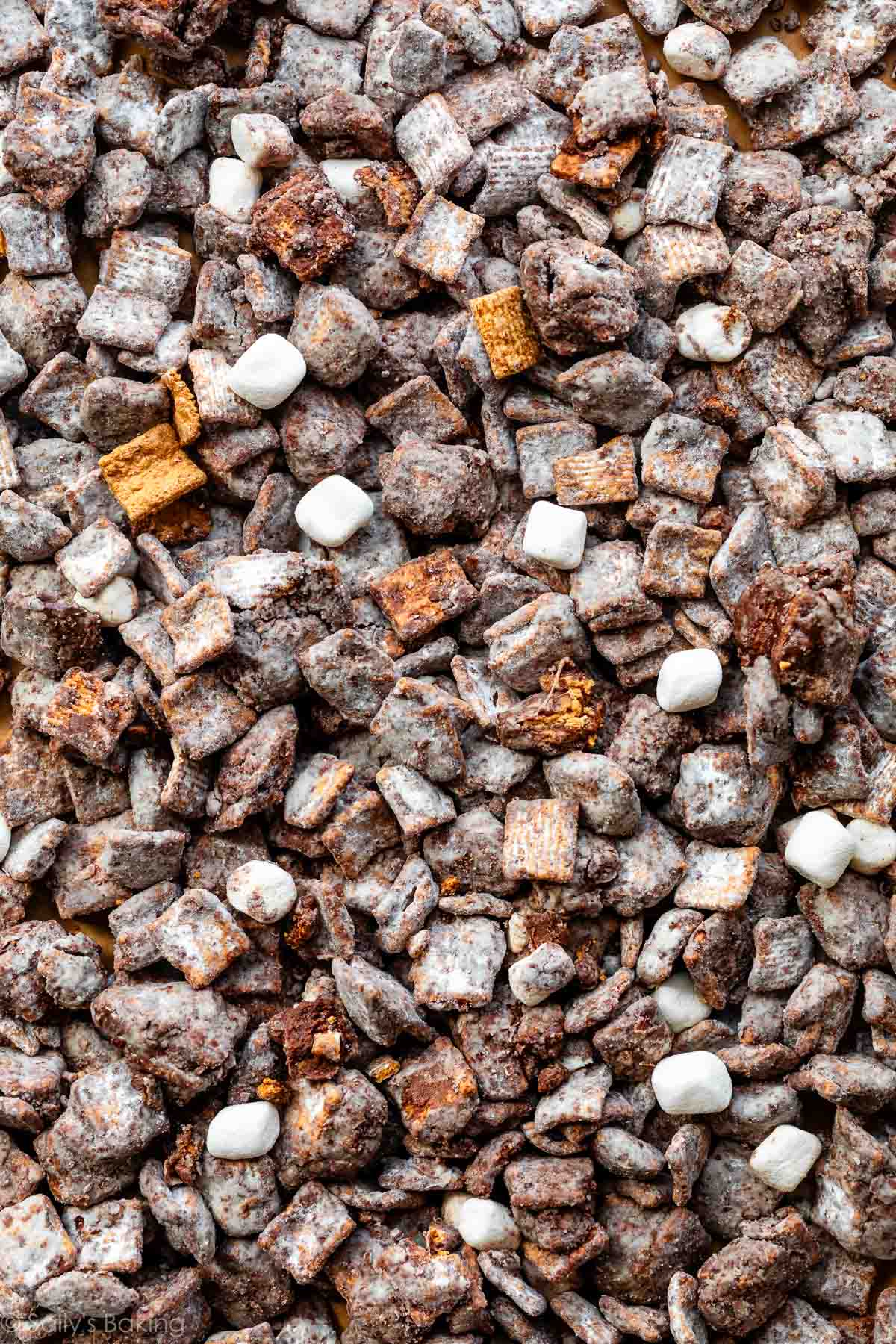 overhead photo of s'mores puppy chow.