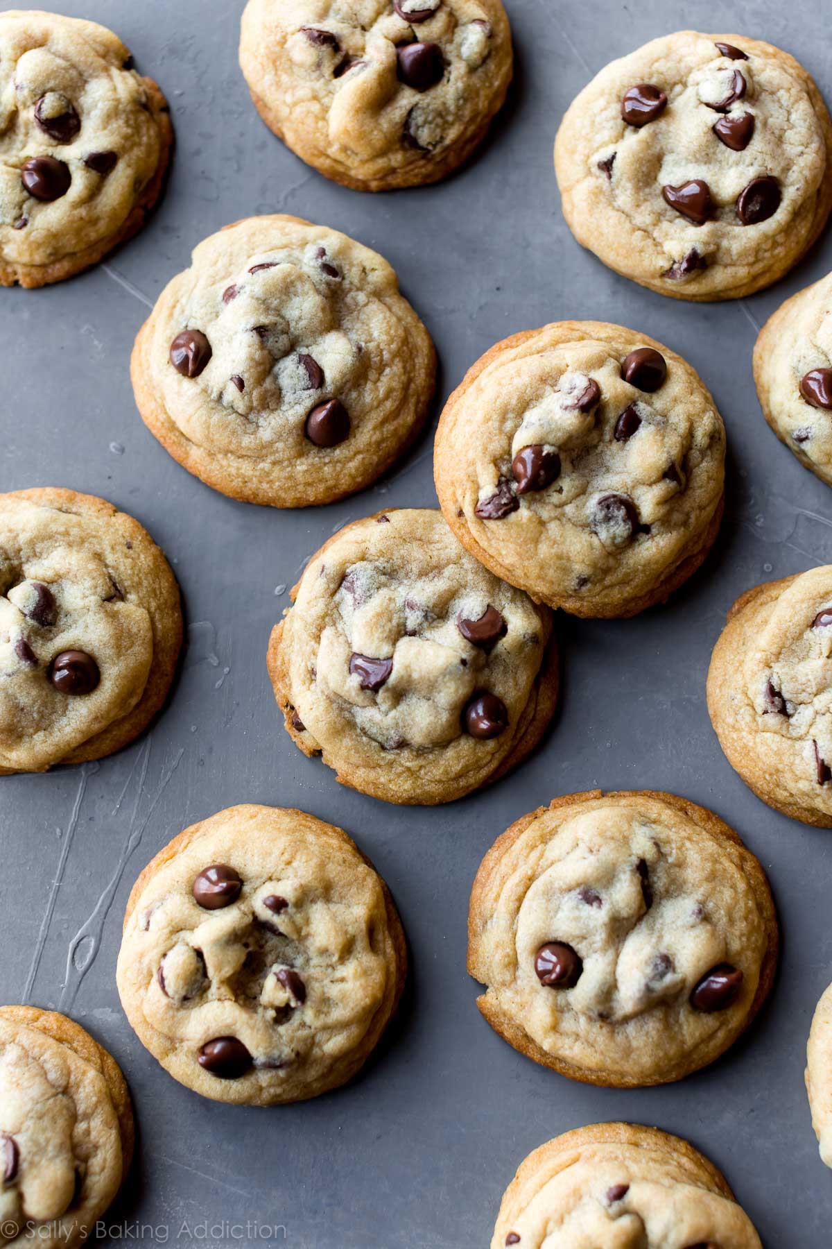 Chocolate chip cookies