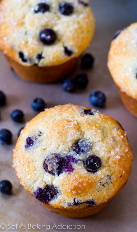 jumbo blueberry muffins