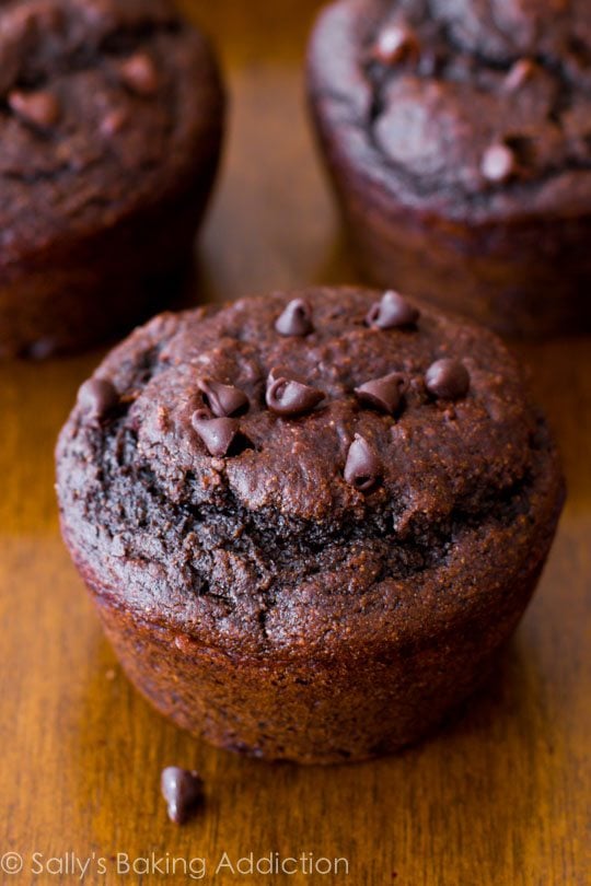 double chocolate chip muffins