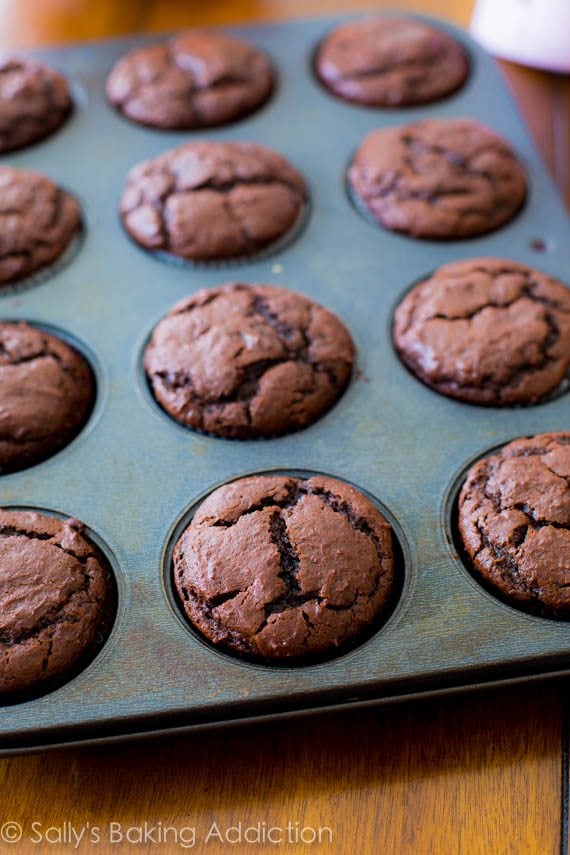 chocolate cupcakes in a cupcake pan after baking