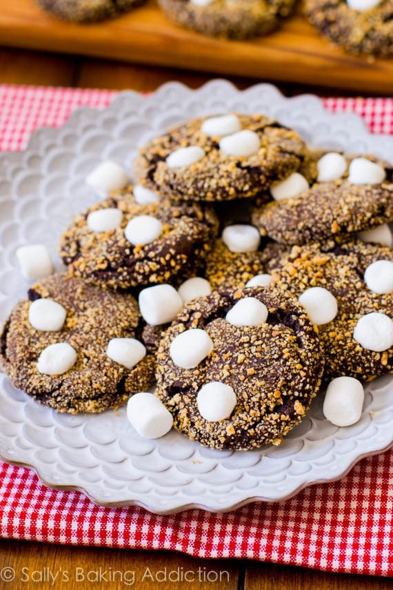 s'mores chocolate crinkle cookies on a white plate