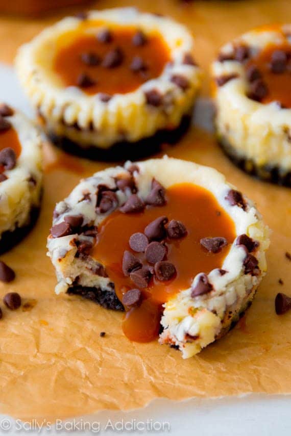 mini salted caramel chocolate chip cheesecakes