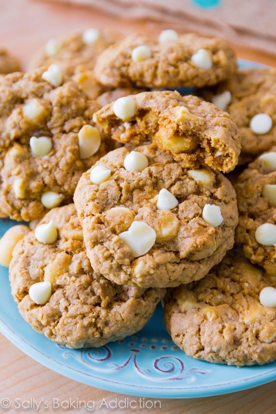white chocolate macadamia nut oatmeal cookies on a blue plate