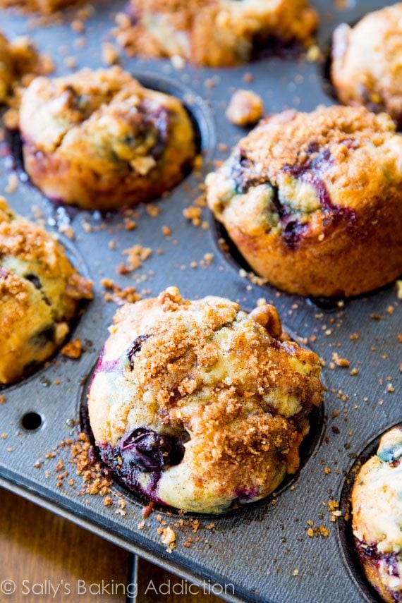 blueberry muffins in a muffin pan