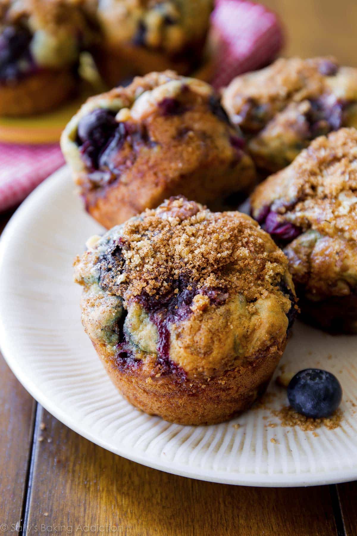 Blueberry muffins on white plate