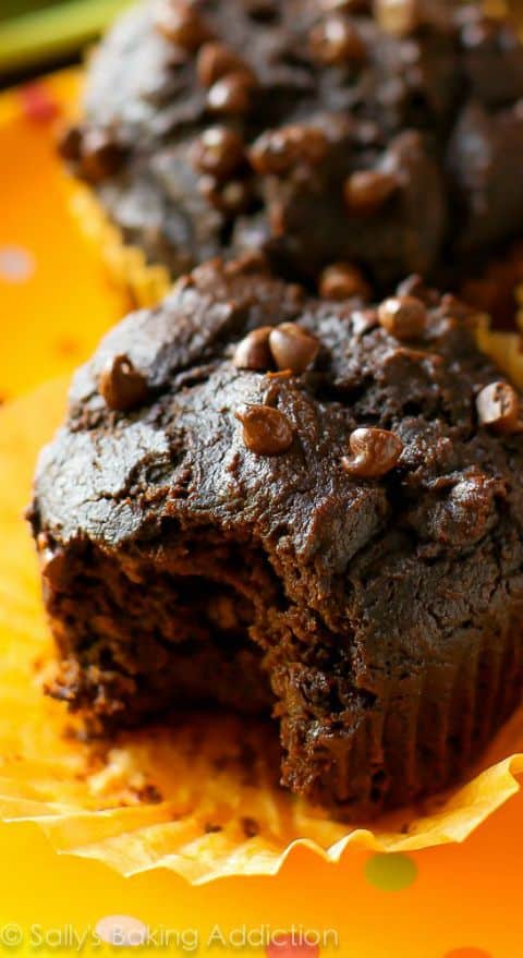 chocolate pumpkin spice muffins