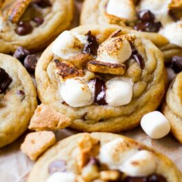 toasted s’more chocolate chip cookies