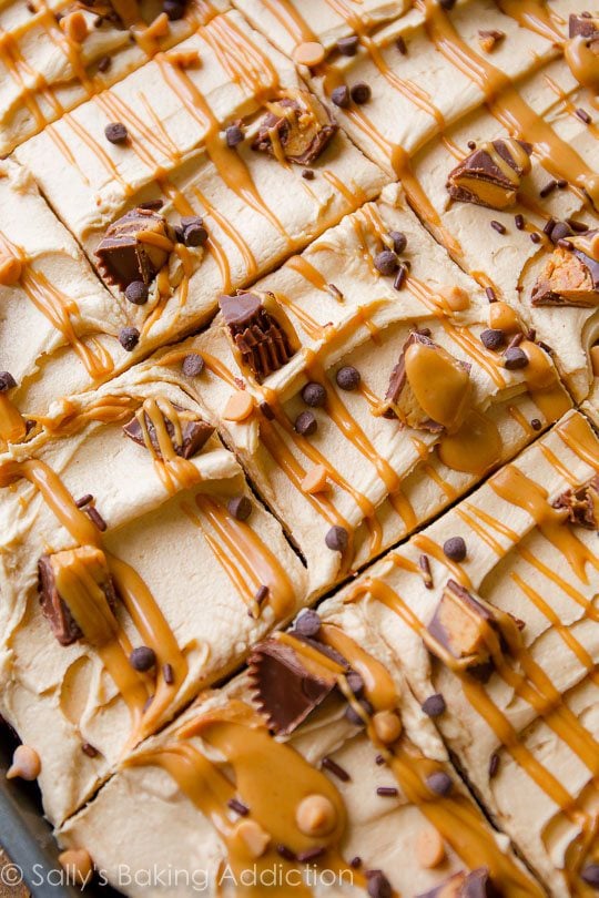 chocolate sheet cake topped with peanut butter frosting, drizzle of melted peanut butter, and peanut butter cups