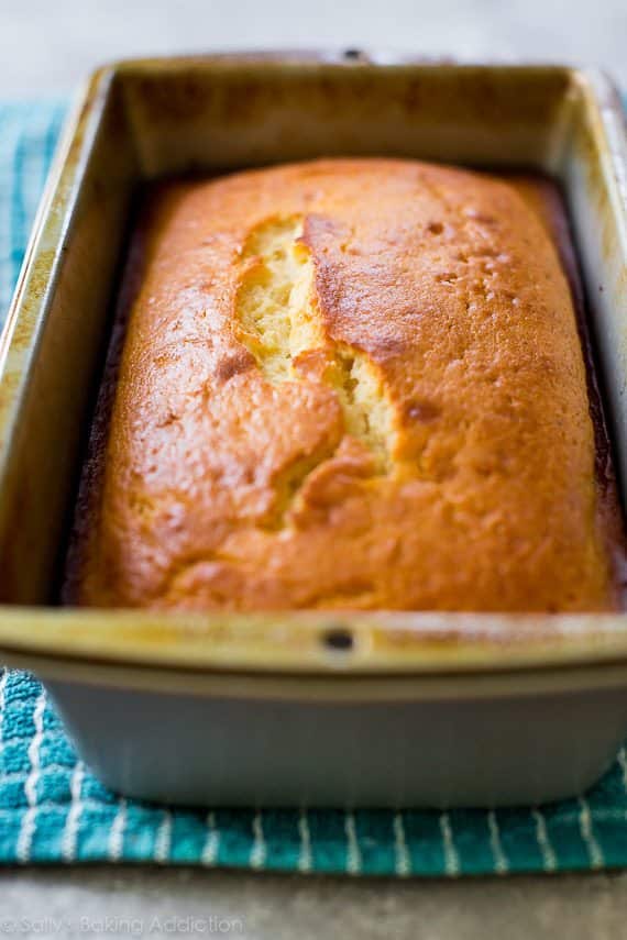 grapefruit Greek yogurt cake in a loaf pan after baking