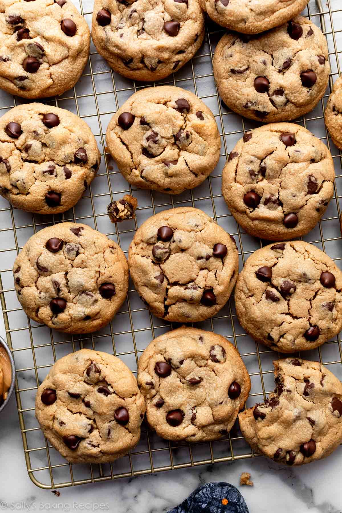 peanut butter chocolate chip cookies on gold cooling rack.