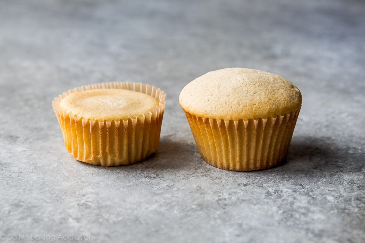 2 vanilla cupcakes after recipe testing.