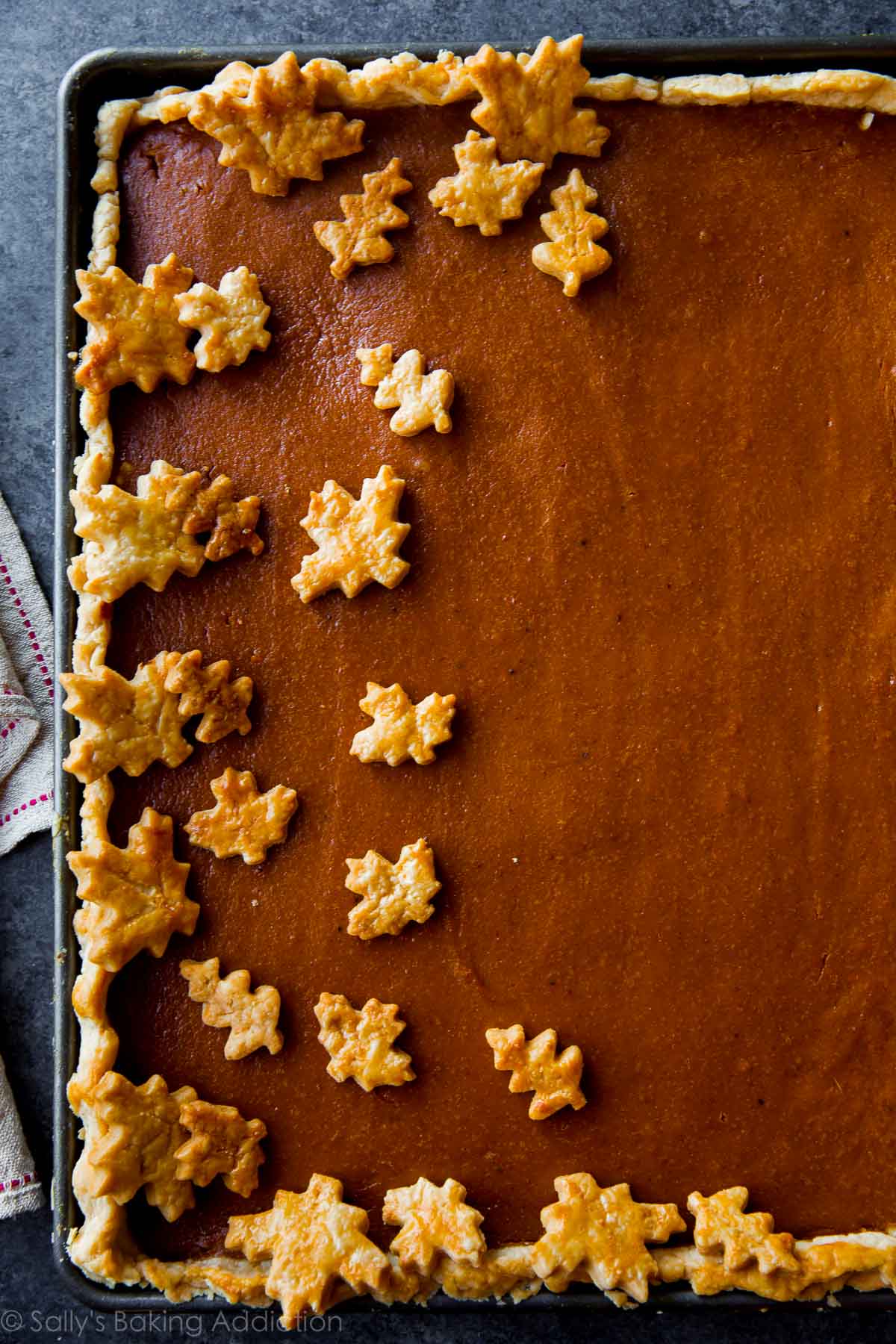 overhead image of pumpkin slab pie after baking with pie crust leaf decorations