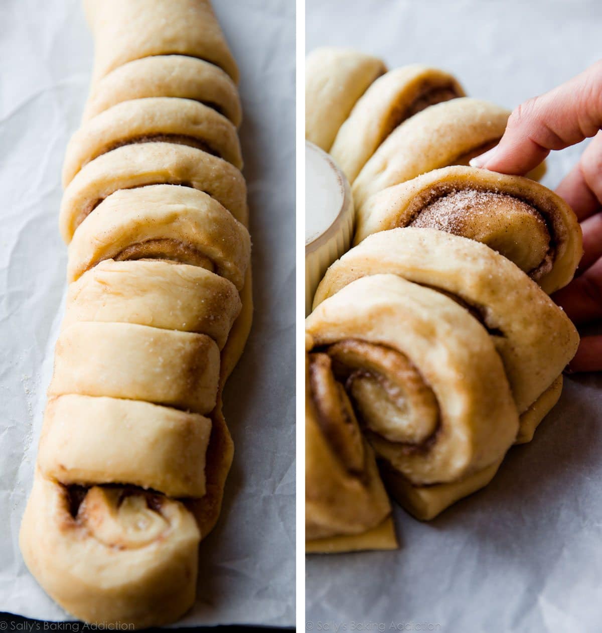 2 images of log of cinnamon roll dough cut into slices leaving the rolls still connected and hands arranging the sliced cinnamon roll log