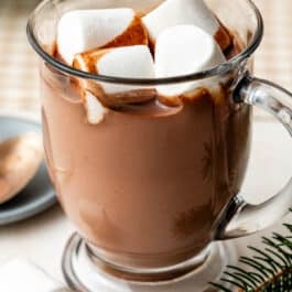 glass mug of homemade hot chocolate with marshmallows on top.