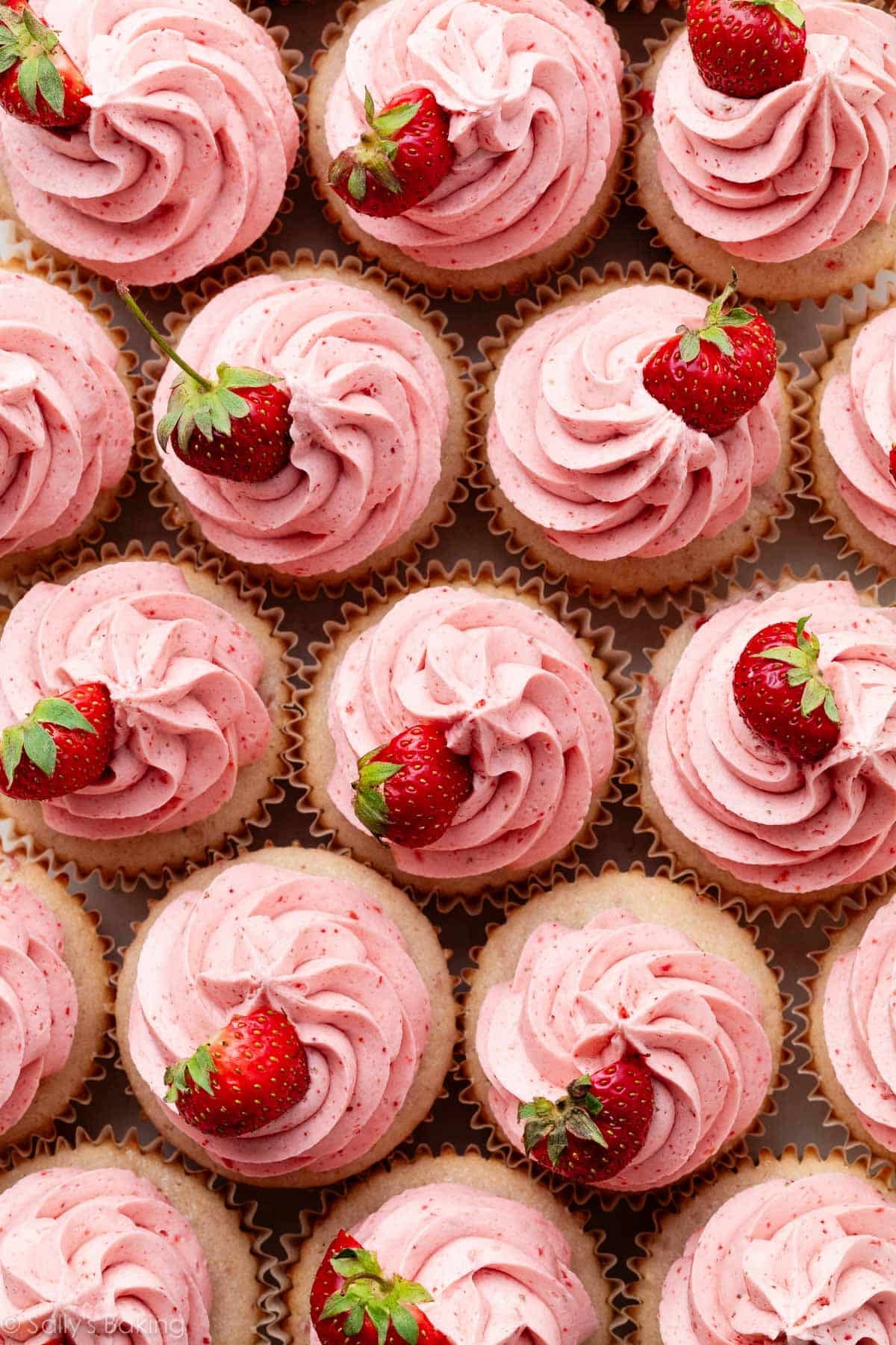 strawberry cupcakes with strawberry buttercream and fresh strawberry on top.