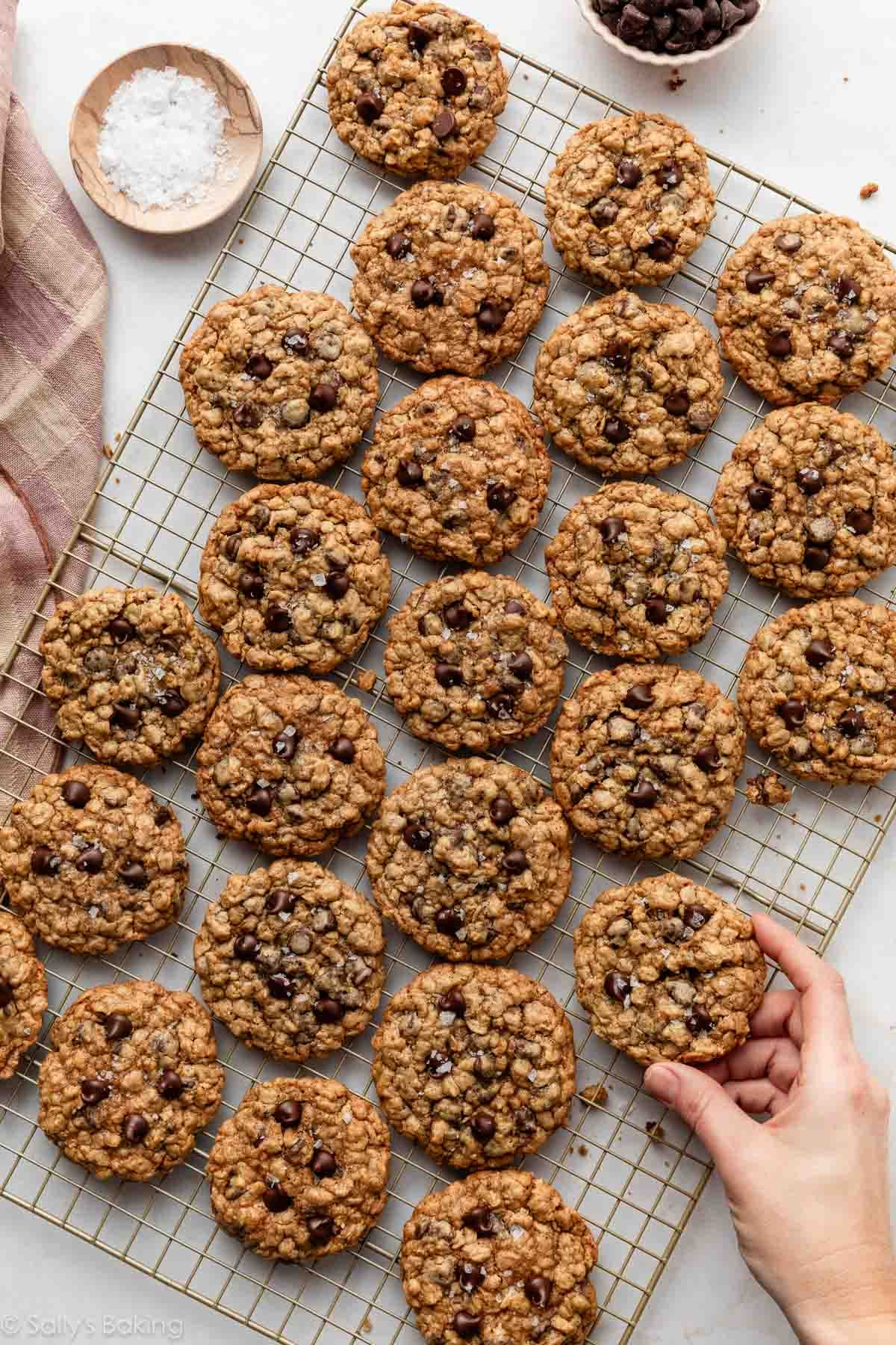oatmeal chocolate chip cookies on gold cooling rack.