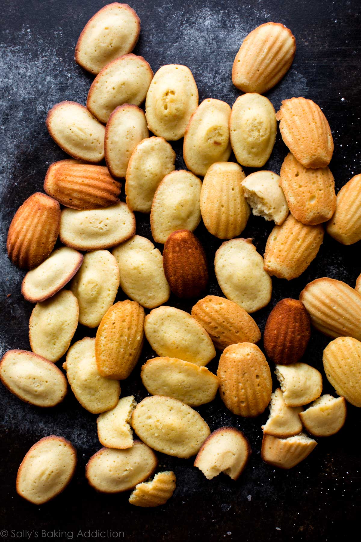 overhead image of madeleines from recipe testing