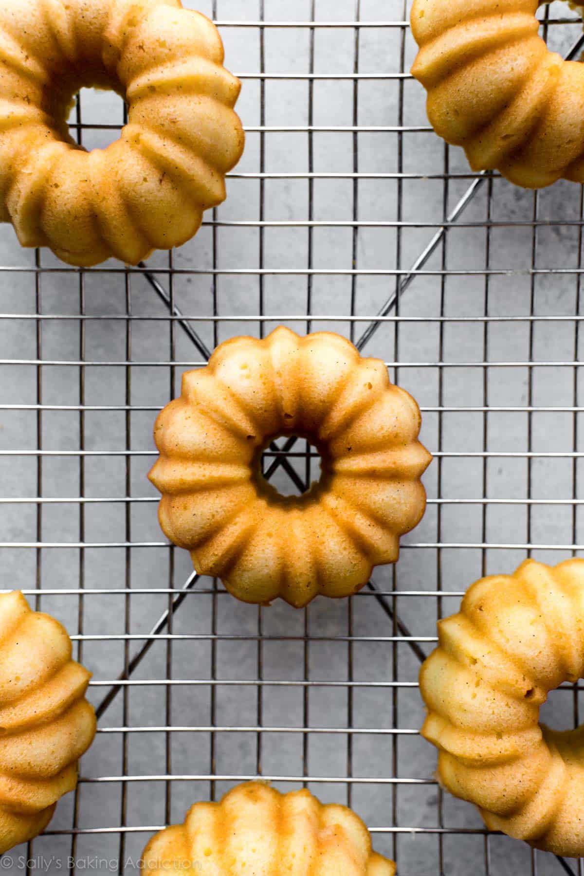 Mini pound cakes on cooling rack