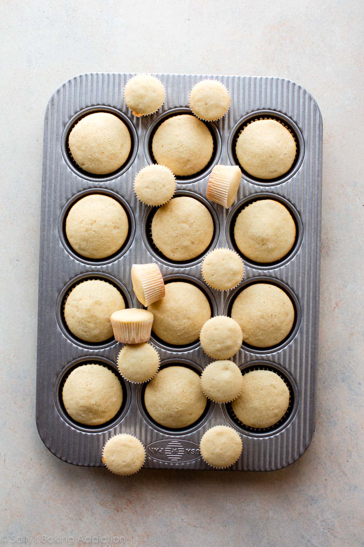 baked regular and mini cupcakes in a cupcake pan