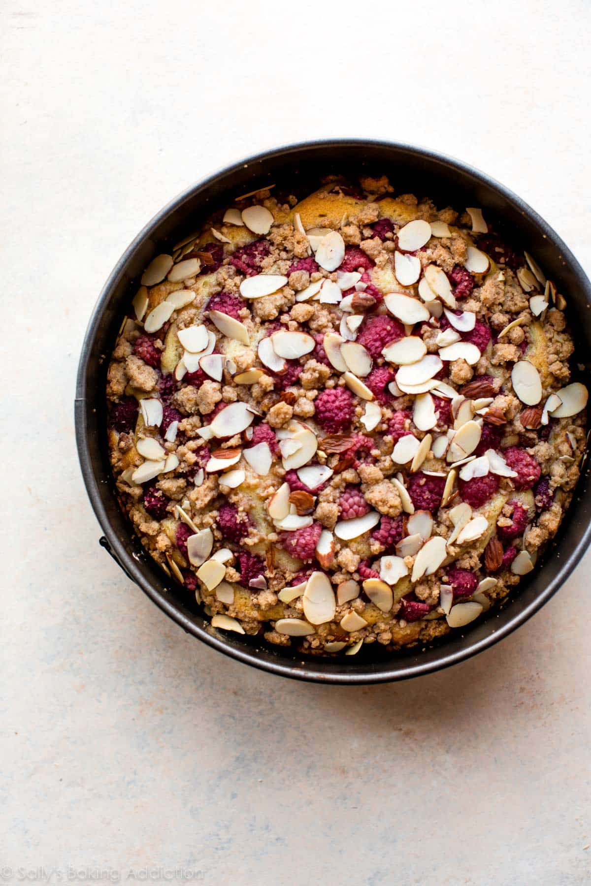 overhead image of raspberry almond crumb cake in a springform pan after baking