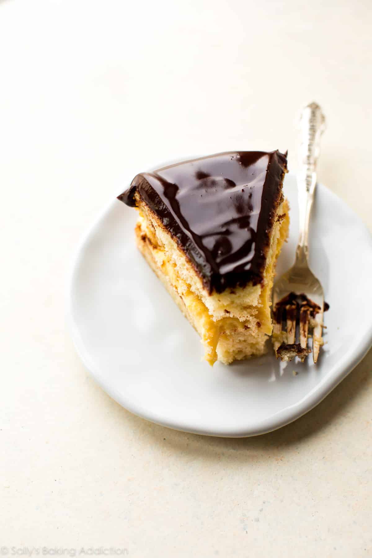 slice of Boston cream pie on a white plate with a fork
