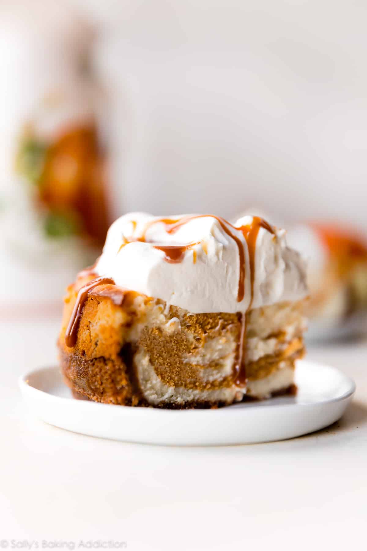 slice of pumpkin swirl cheesecake on a white plate