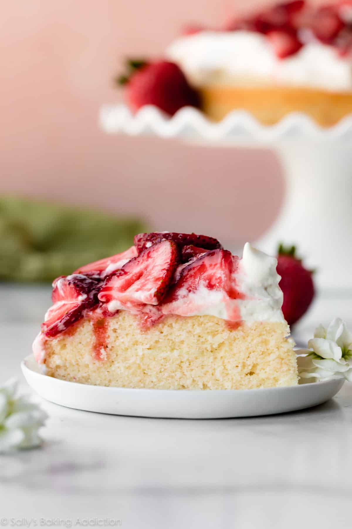 slice of one layer vanilla cake with whipped cream and strawberries on white plate