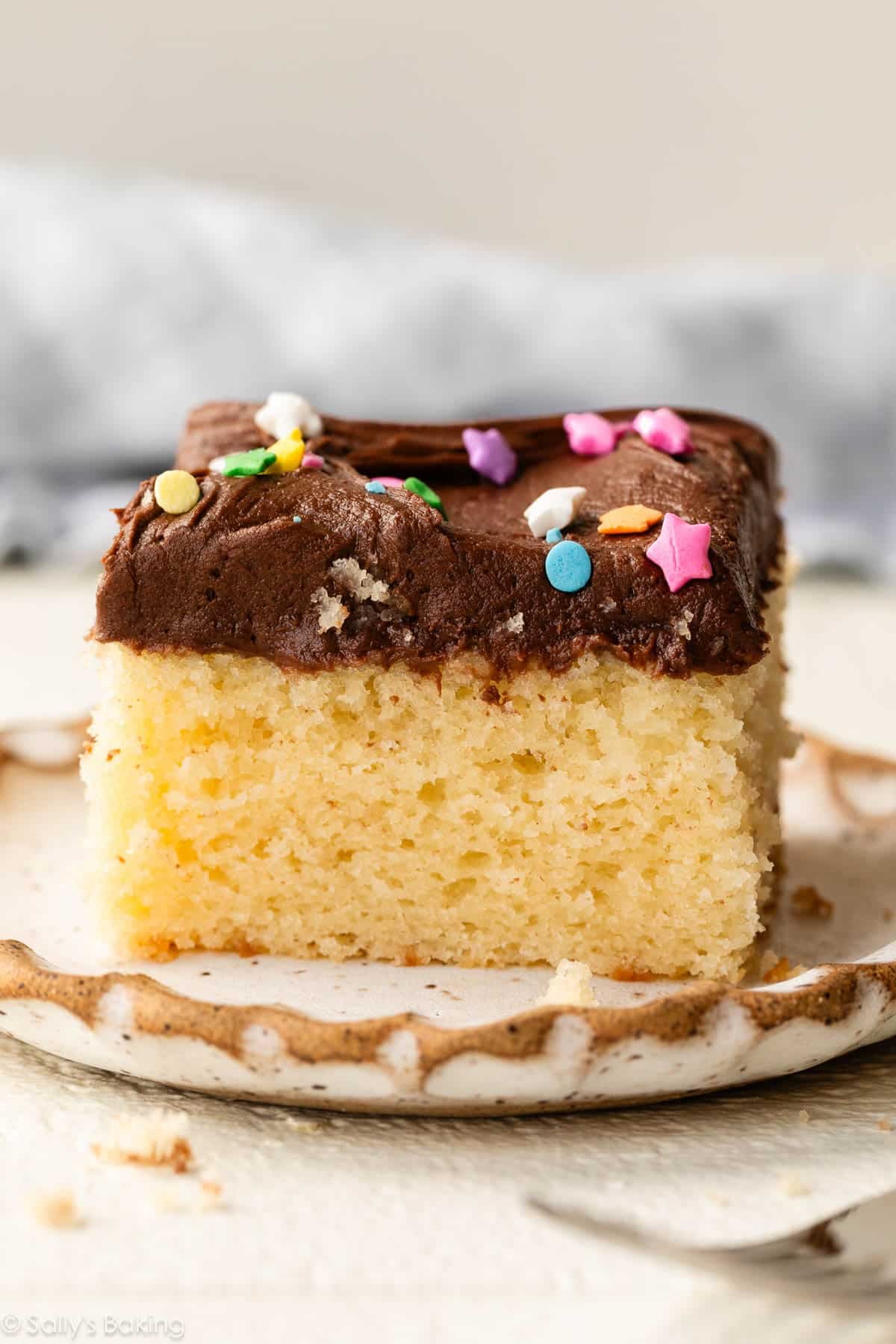 yellow sheet cake slice on plate.