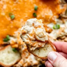 hand holding baguette slice dipped in Maryland crab dip.