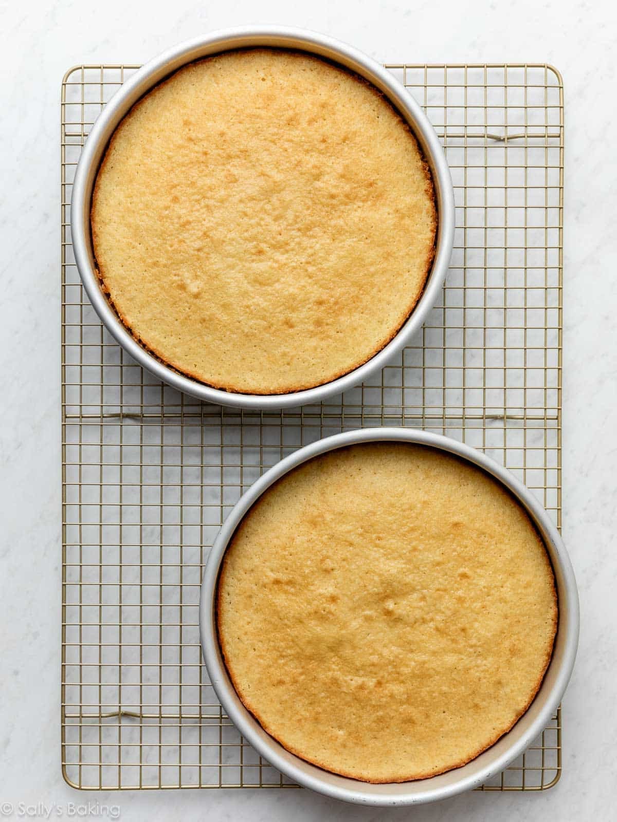 two baked cakes in round cake pans on cooling rack.