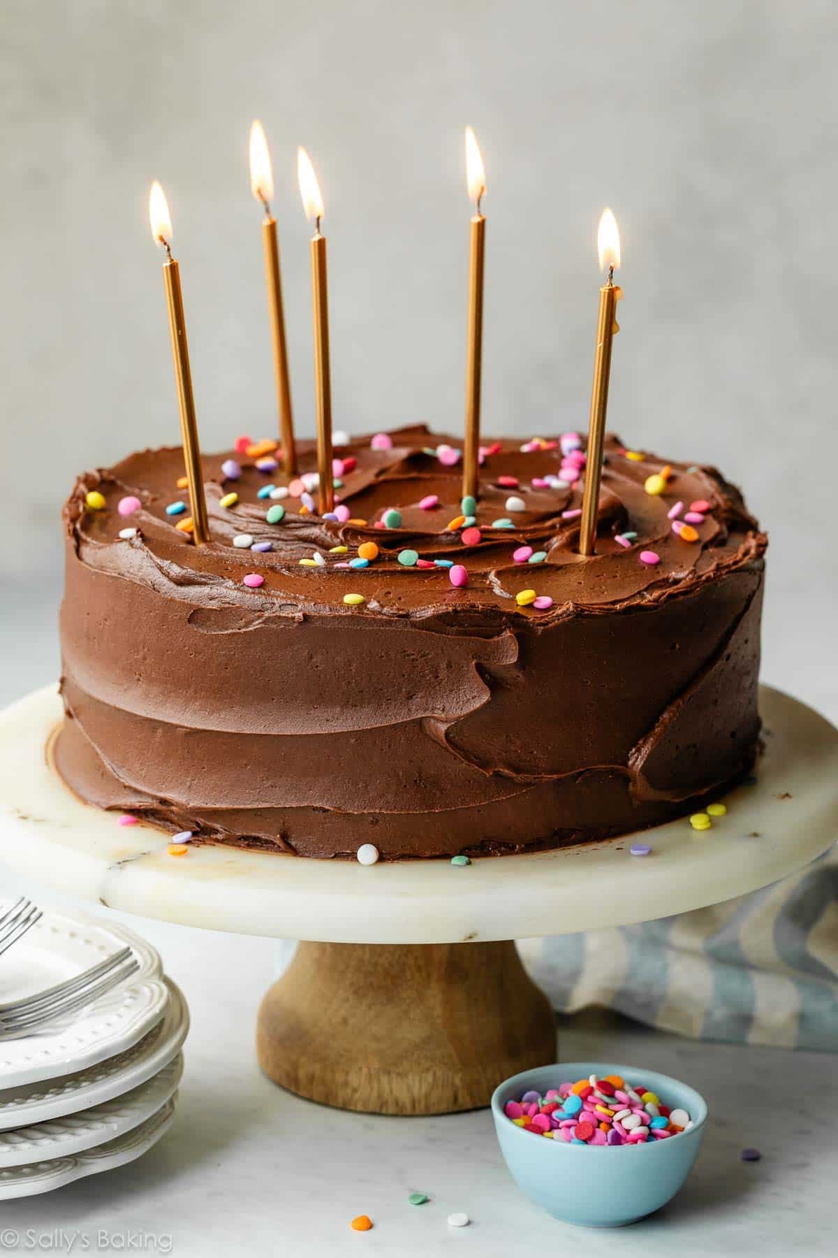 cake with chocolate frosting, sprinkles, and lit candles.
