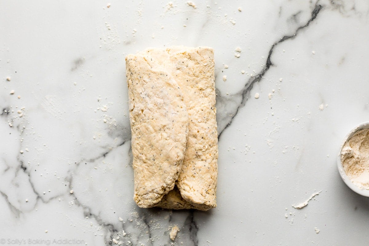 everything bagel seasoned biscuit dough