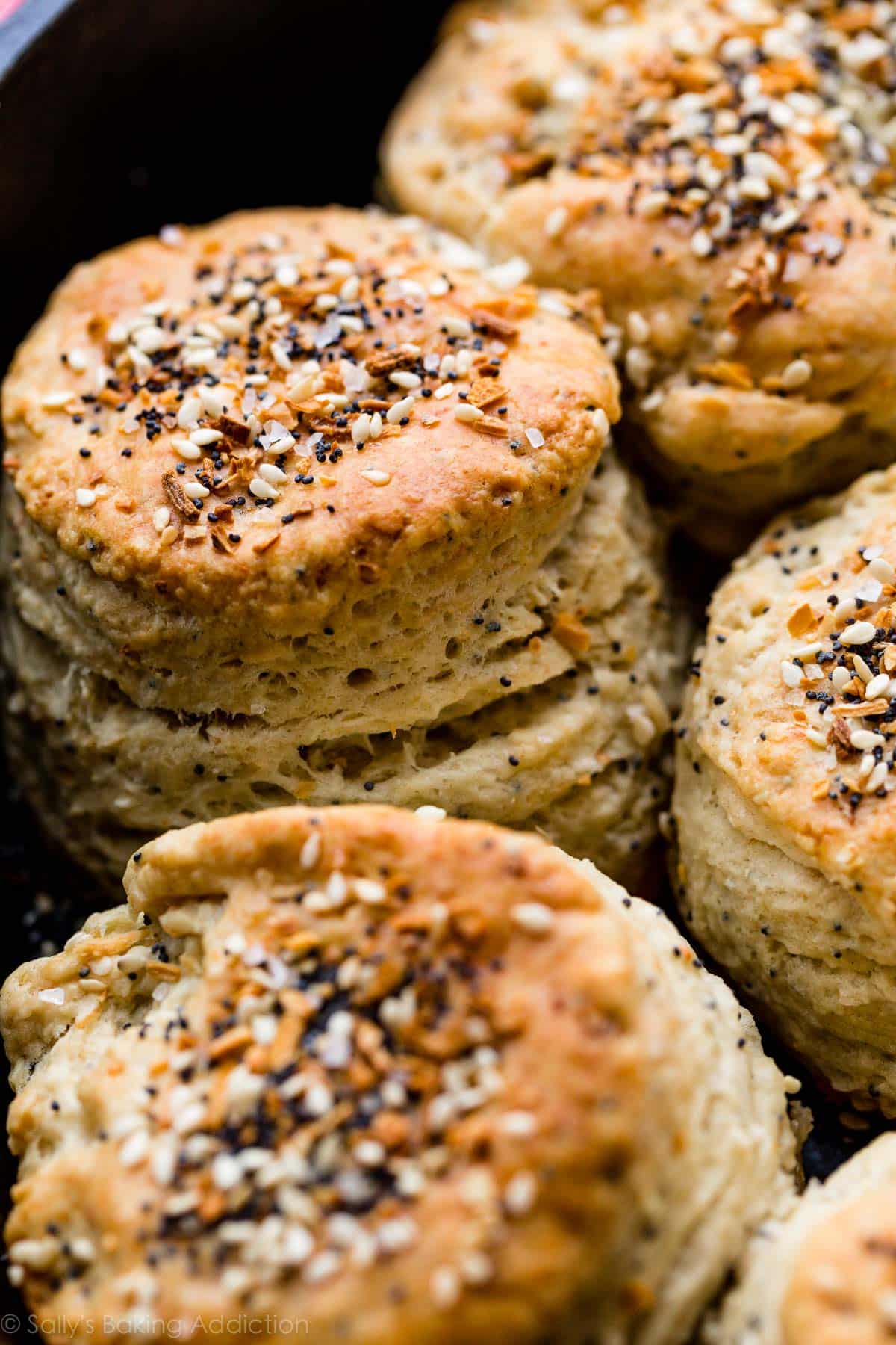 cream cheese biscuits with everything bagel seasoning