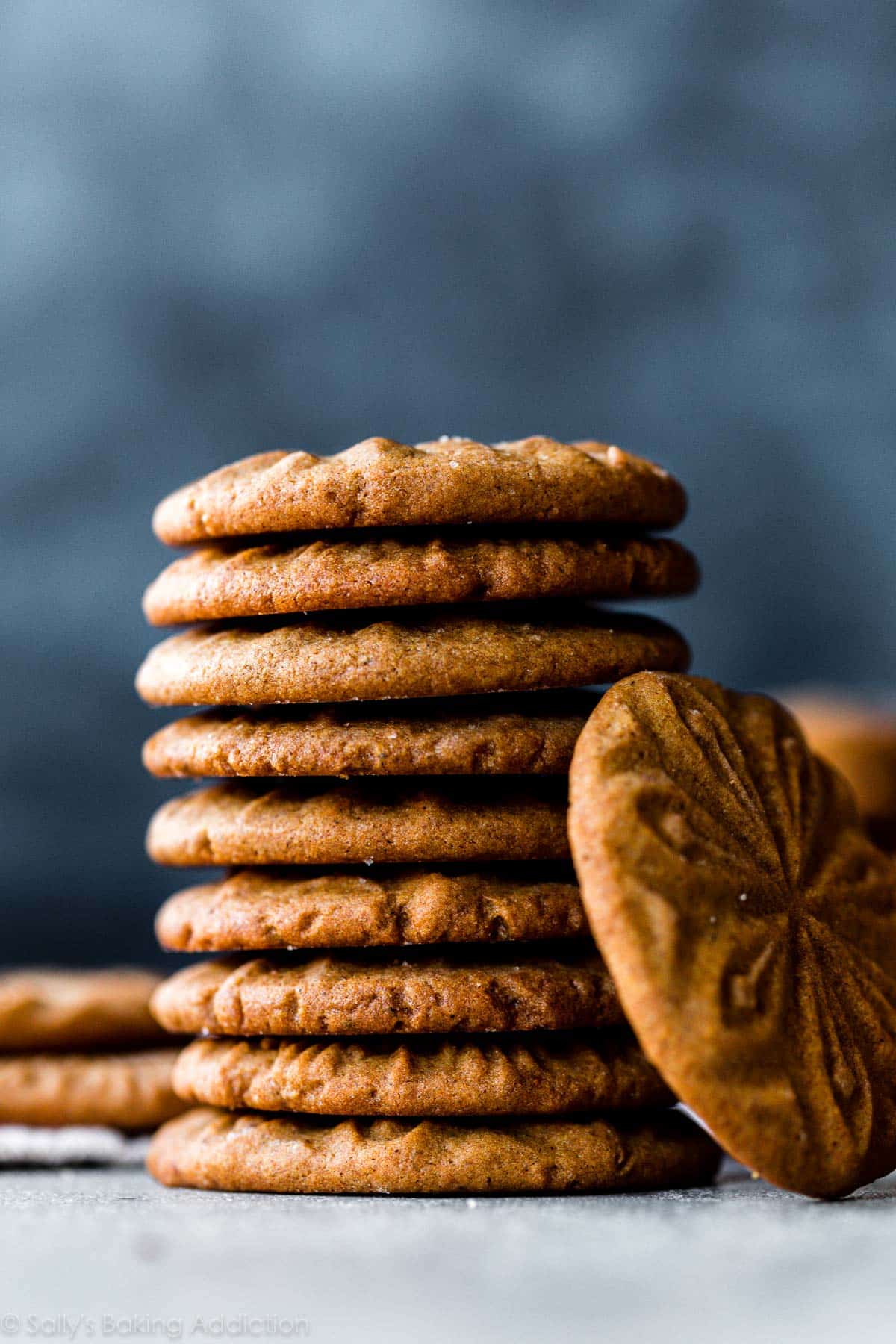 stack of cinnamon brown sugar cookies