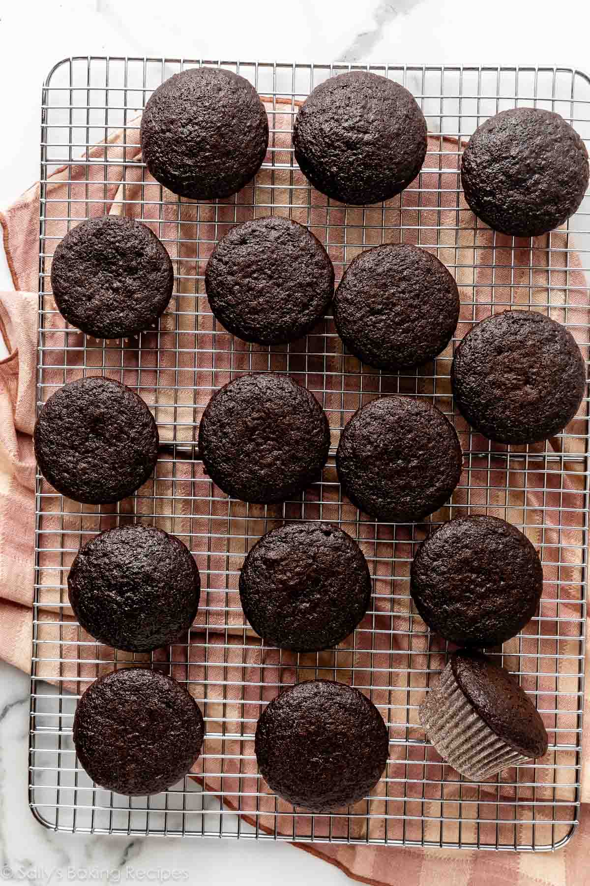 overhead of chocolate cupcakes on cooling rack.