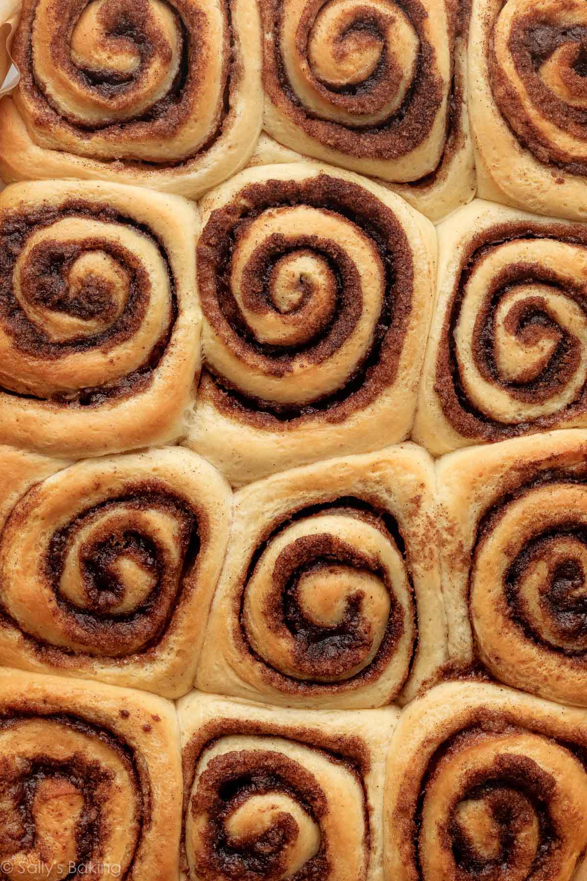baked cinnamon rolls without icing.