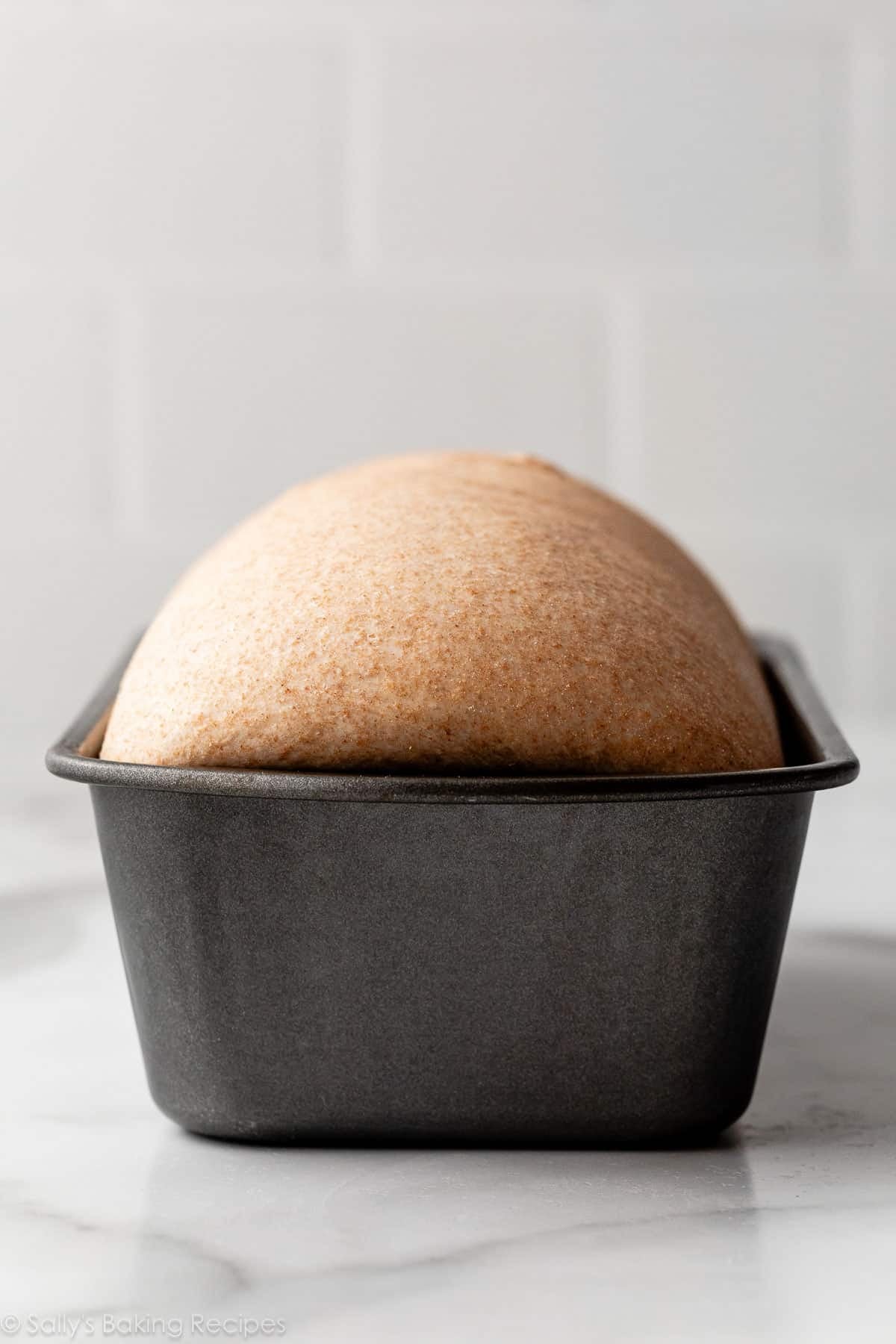 wheat loaf dough risen in gray loaf pan.