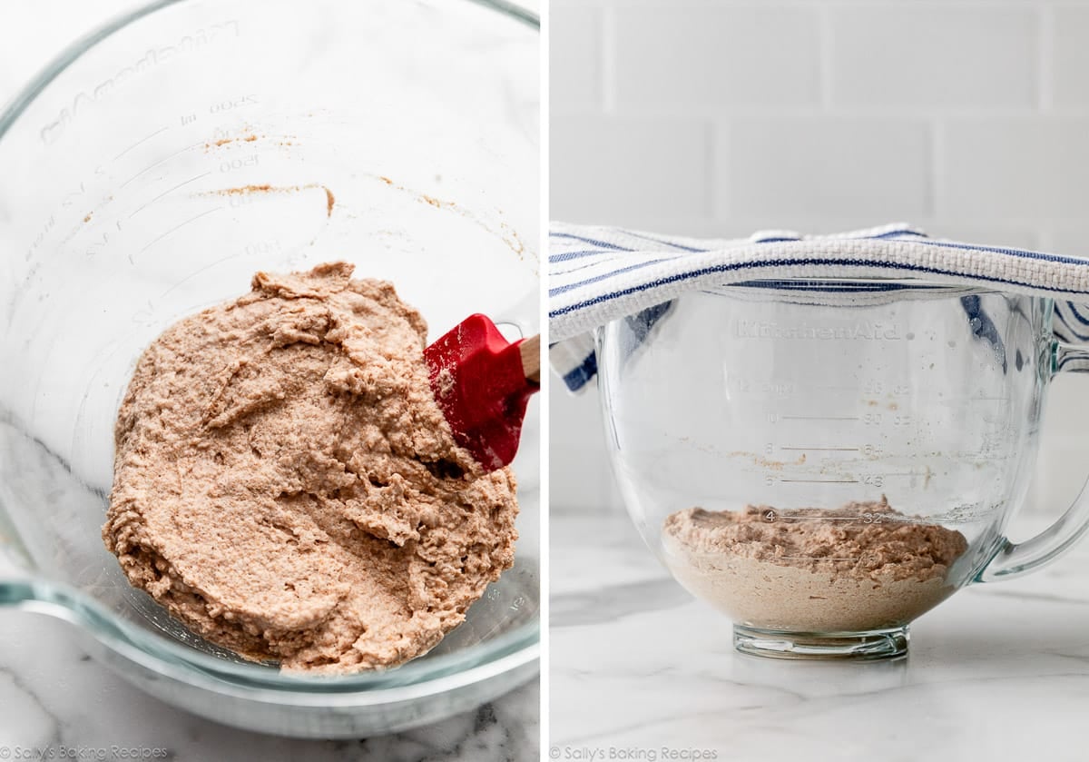 thick wheat dough sponge mixture in glass bowl.