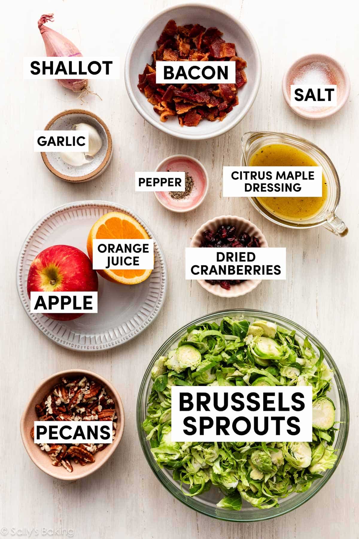 ingredients measured in bowls including salt, pepper, bacon, pecans, apple, half of an orange, and dried cranberries.