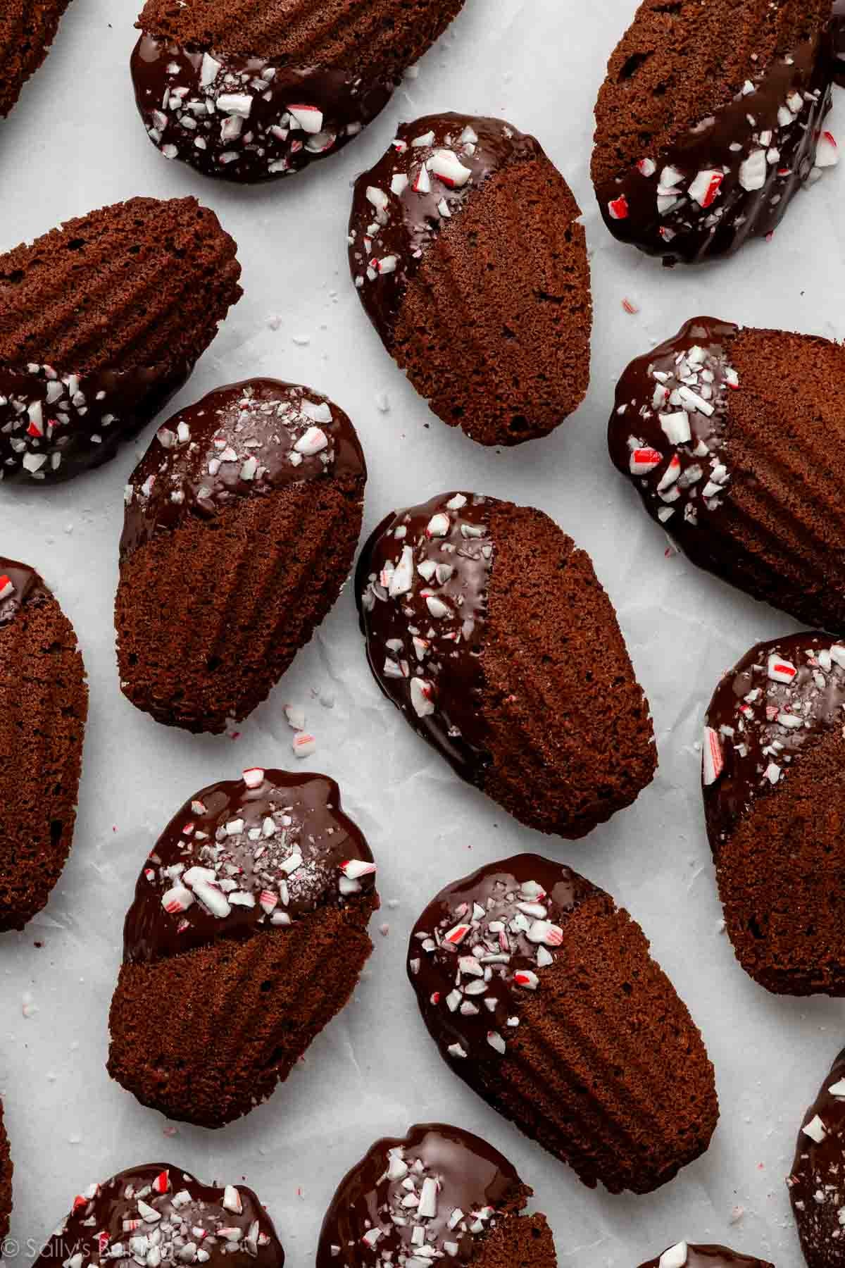 chocolate dipped peppermint madeleines with crushed candy canes.